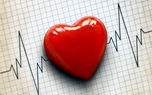 تعداد استاندارد ضربان قلب در دقیقه چقدر است؟