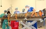 عمل جراحی تمساح بخاطر لنگه کفش توریست! +عکس