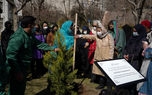 روز  درختکاری با حضور همسران سفرای کشورهای خارجی