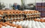 هر کیلوگرم تخم مرغ درب مرغداری چند؟