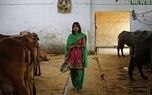 ریختن ادرار گاو در دهان بیمار کرونایی بستری شده در هند+عکس