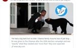 تصویر باراک اوباما و سگش BO که مرد