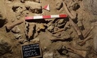اعلام کشف بقایای 9 انسان نئاندرتال در ایتالیا