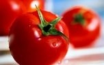 تأثیر شگفت انگیز گوجه فرنگی در پیشگیری از سکته مغزی !