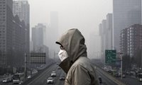 چگونه آلودگی هوا منجر به از بین رفتن حس بویایی می شود؟