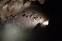 کشف ردپاهای دوران پارینه سنگی در غاری در اسپانیا