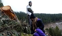 مدافعان جنگل در کانادا + عکسها
