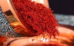 ۱۵درصد ارزش افزوده صادرات  زعفران به کشور باز نمی گردد