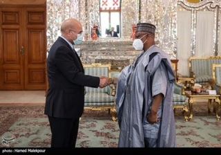 دیدار وزیر مشاور در امور خارجه نیجریه با رئیس مجلس شورای اسلامی