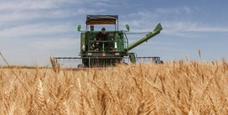 روسیه: تنها به کشورهای دوست محصولات کشاورزی می‌فروشیم