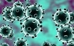 فصل جدید شیوع آنفلوآنزا در آمریکا با بیش از ۷ هزار قربانی